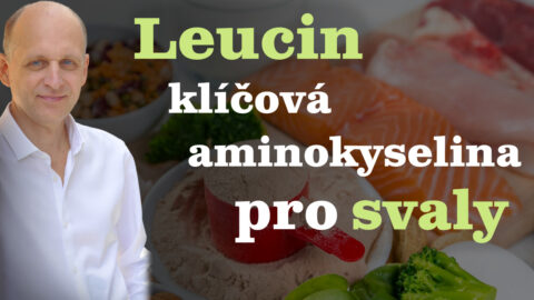Leucin-klíčová aminokyselina pro svaly