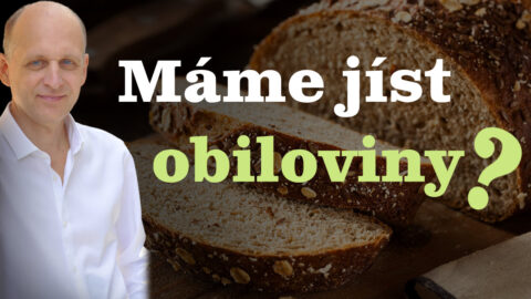 Jsou obiloviny ve stravě důležité?