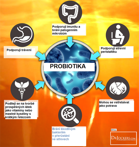 Účinky probiotik