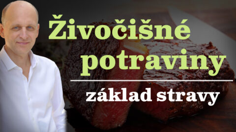 Živočišné potraviny jsou základem stravy.